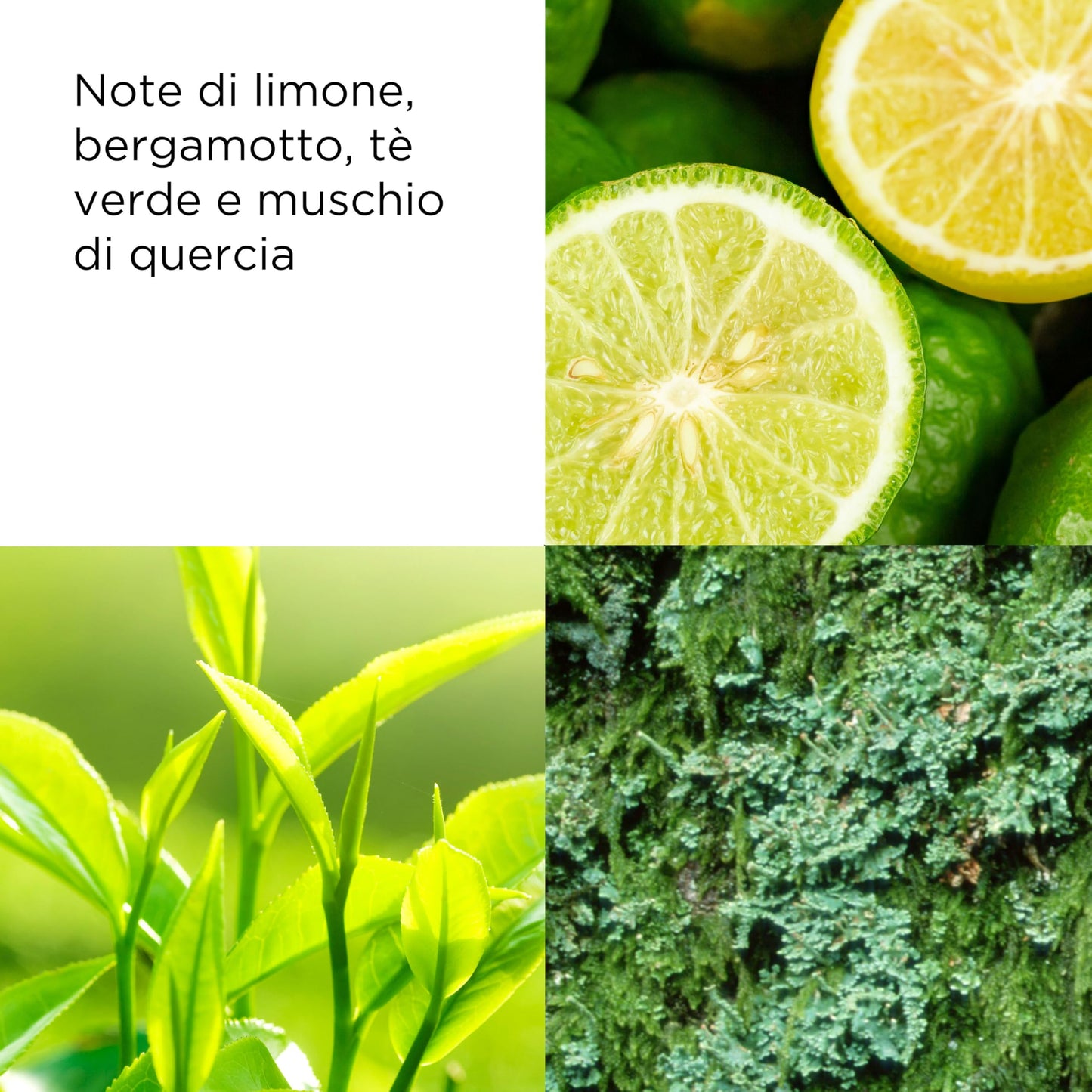 🌿 Elizabeth Arden – Green Tea Eau Parfum
